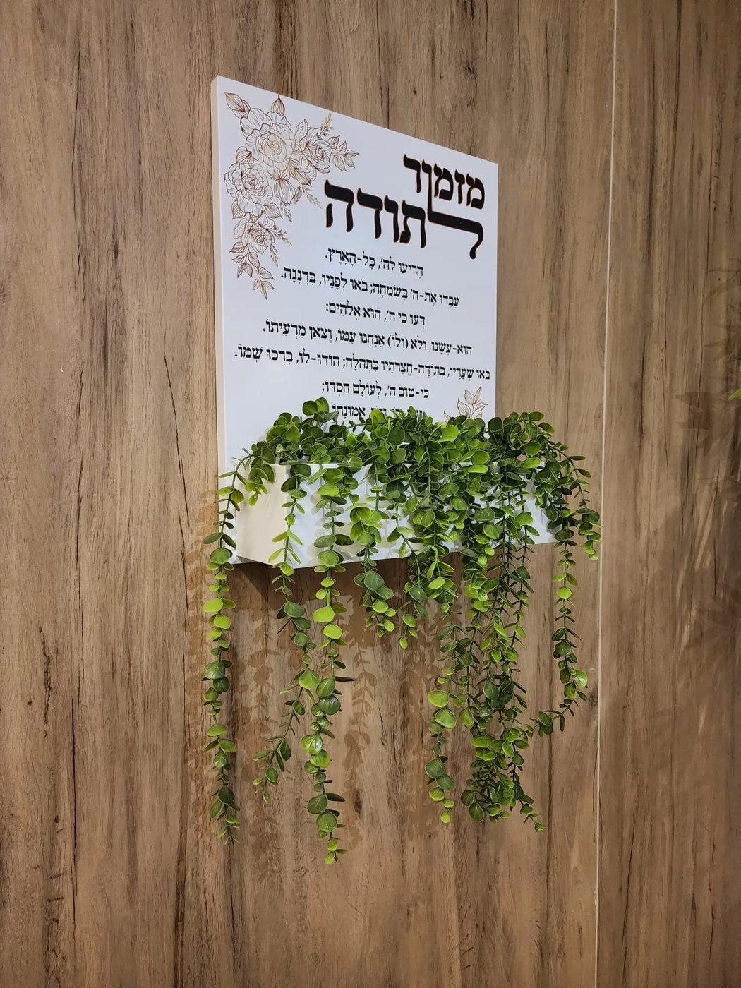 השלט על קיר עץ, הצמח יורד מהאדנית